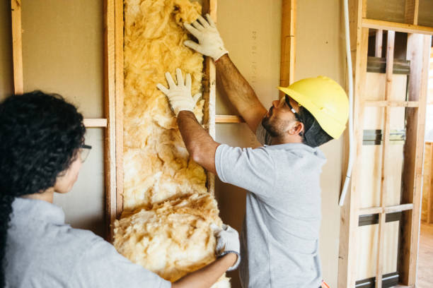 Types of Insulation We Offer in Queensland, MD